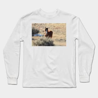 Young wild horse, foal, wildlife, nature, gifts Long Sleeve T-Shirt